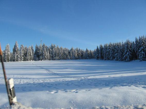 Ferienwohnung Bodehexe 2 Braunlage Eksteriør bilde